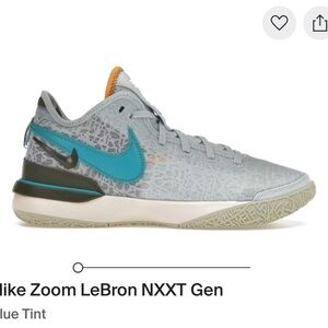 Nike Zoom LeBron NXXT Gen in Gray and Blue